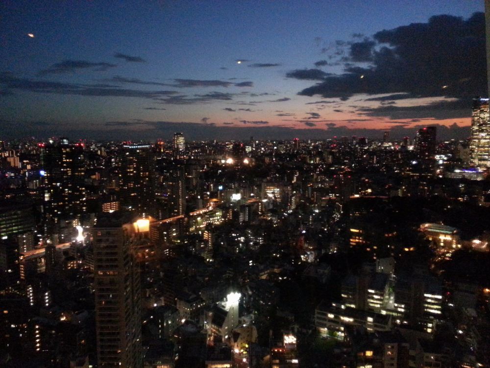 giorno 23 - panorama tokyo tower.jpg